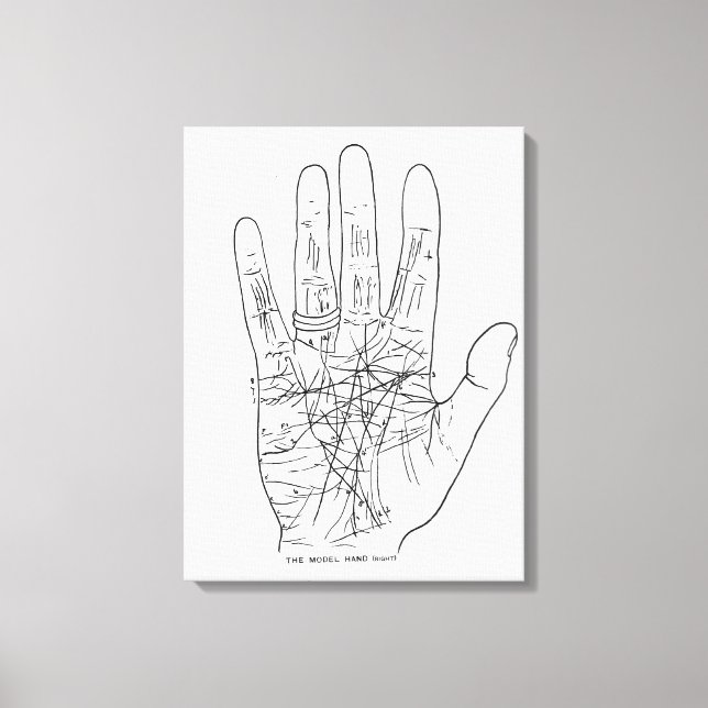 Toile Main modèle (Recto)