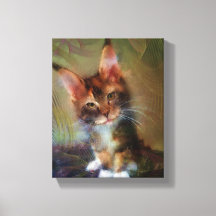 Maine Coon Kitten Art - Pick Me - Art Rectangulair