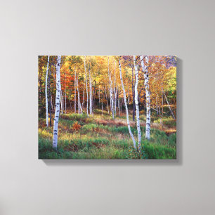 Toile Maine, Parc national d'Acadia, Automne