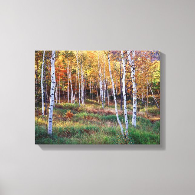 Toile Maine, Parc national d'Acadia, Automne (Recto)