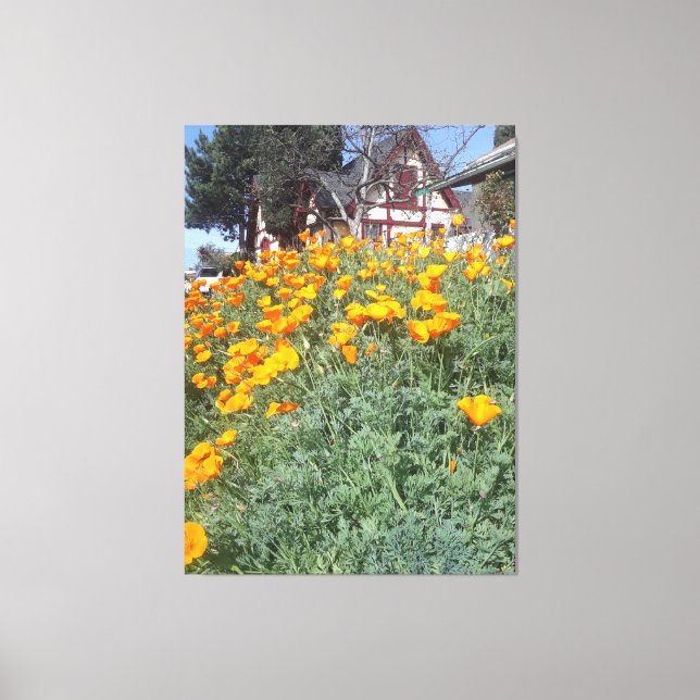 Toile Maison de rêve dans un champ de pavots (Recto)