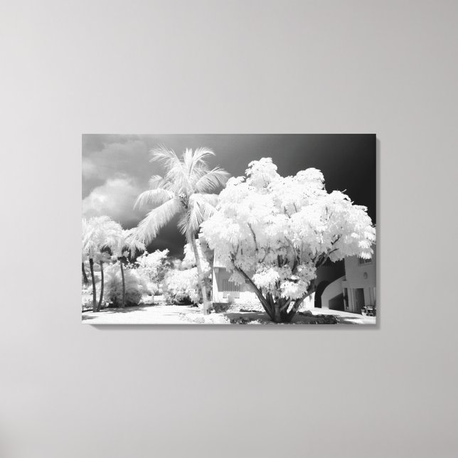 Toile Maison des Keys de Floride et ses palmiers, États- (Recto)