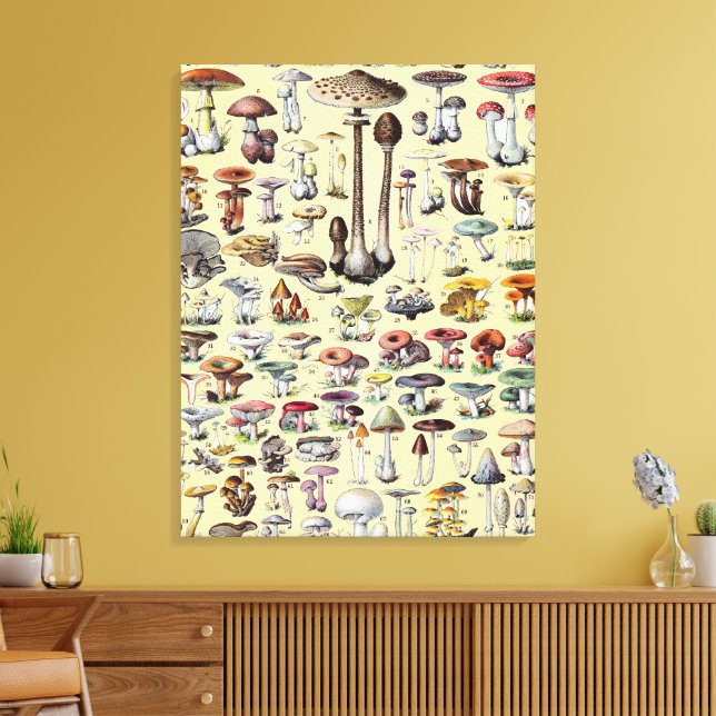 Toile Maisonnette Champêtre Vintage aux Champignons Bota (Insitu(Salon))