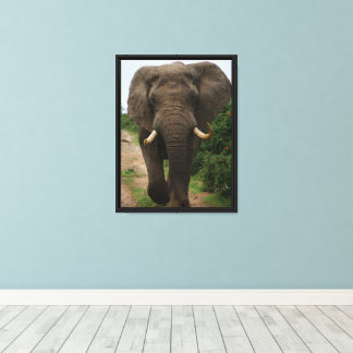 Toile Majestic Elephant sur Safari Path Puissante Faune