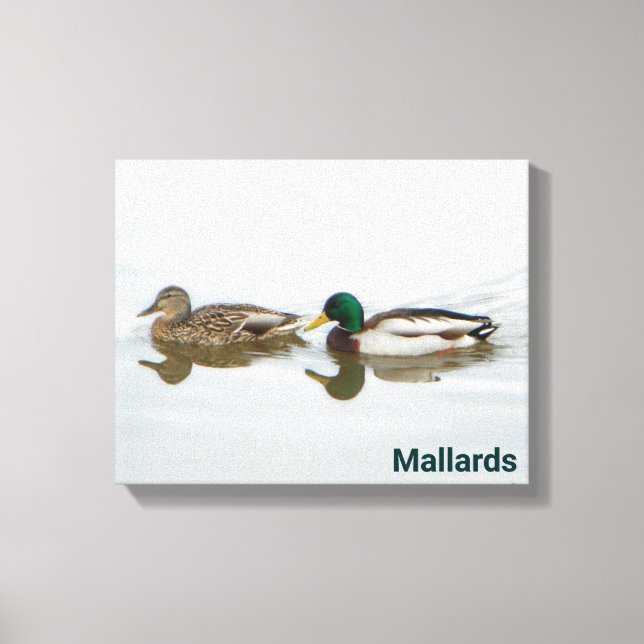 Toile Mallards (Recto)