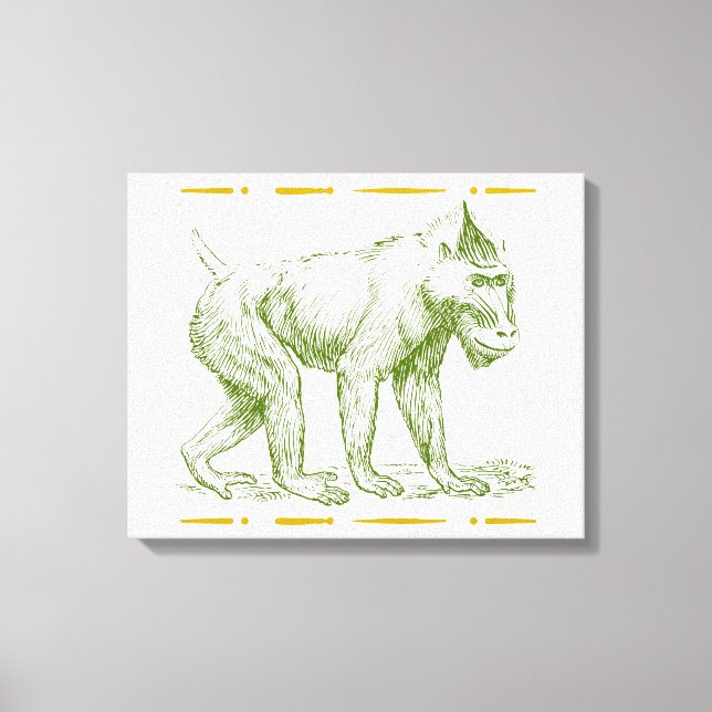 Toile Mandrill Monkey (Recto)