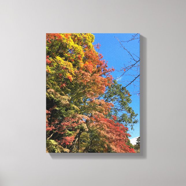 Toile Maples colorées vives (Recto)