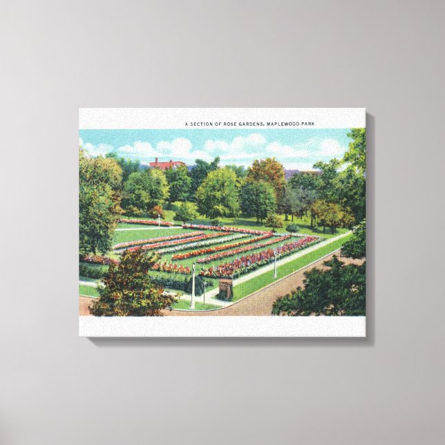 Toile Maplewood Park Rose Garden View (Recto)