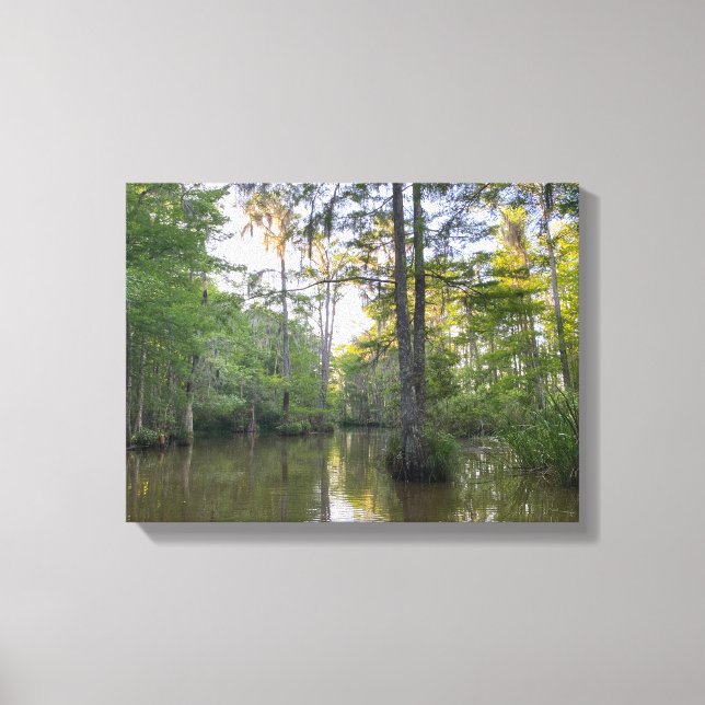Toile Marais de Louisiane (Recto)