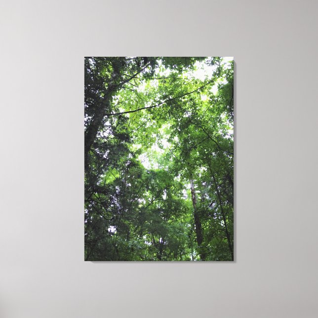 Toile Marche dans la forêt, Chester, Caroline du Sud (Recto)