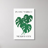Marché de plantes Mexique Monstera verte Plante d'