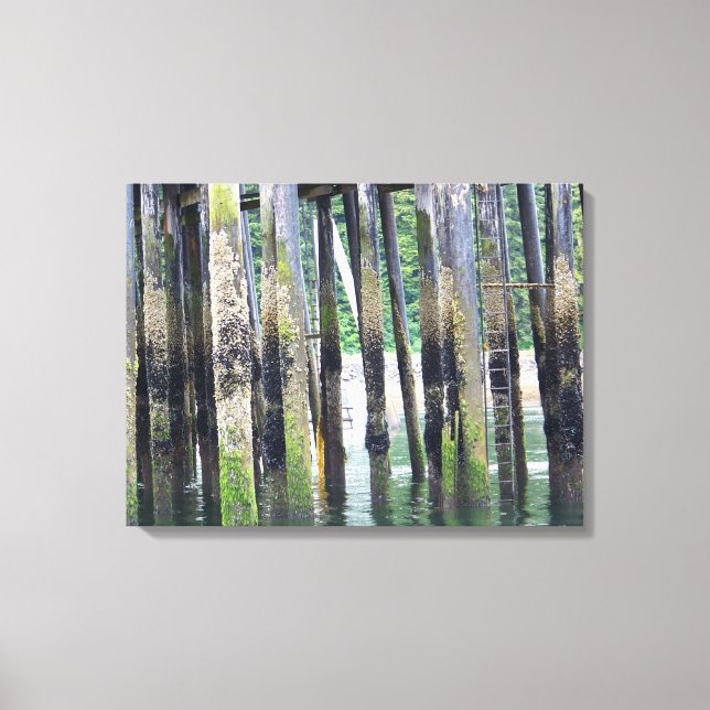 Toile Marée basse à Icy Strait Point Hoonah Alaska (Recto)