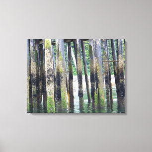 Toile Marée basse à Icy Strait Point Hoonah Alaska