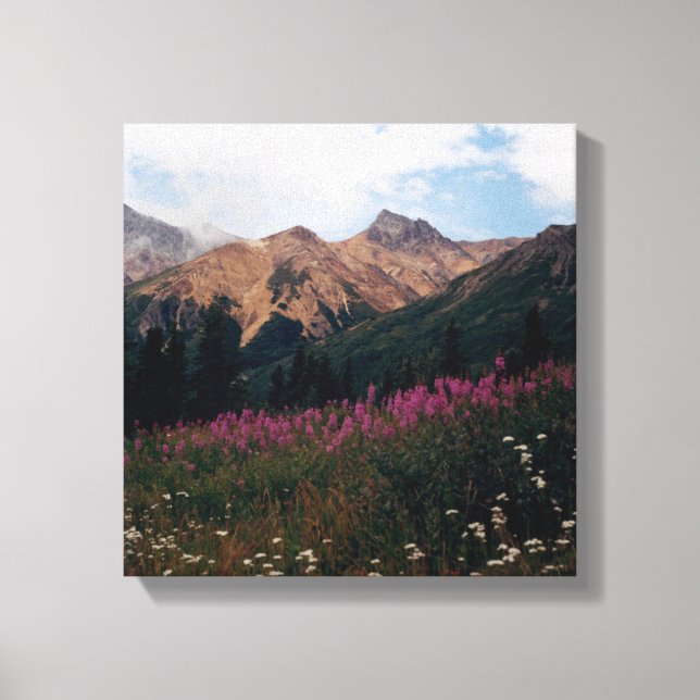Toile Marguerites Blanches Mtns De Talkeetna Violet. (Recto)