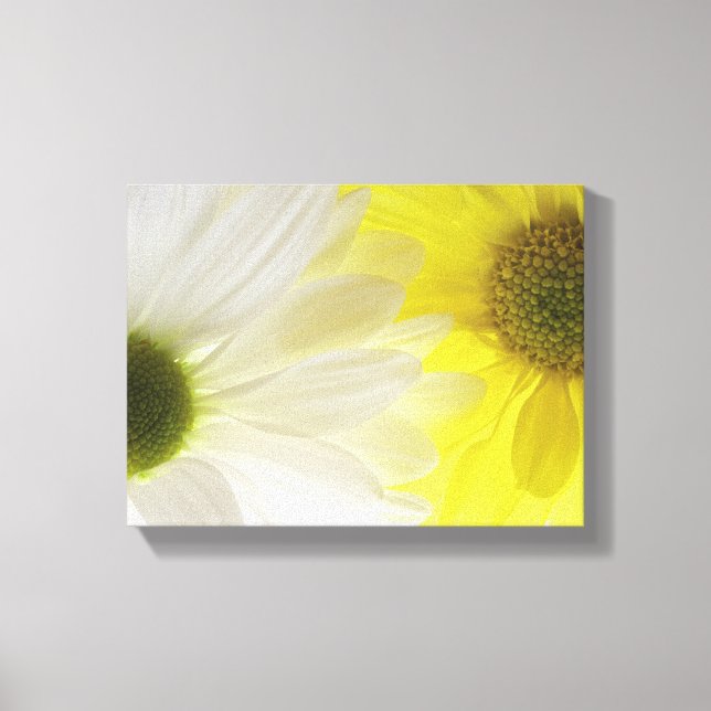 Toile Marguerites jaunes et blanches (Recto)