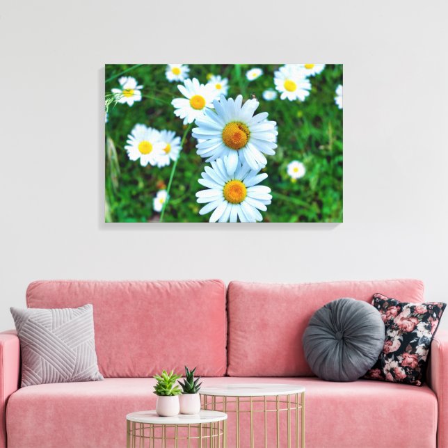 Toile Marguerites oculaires (Insitu(Salon))