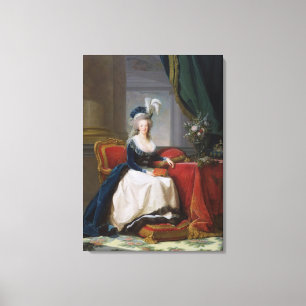 Toile Marie-Antoinette 1788