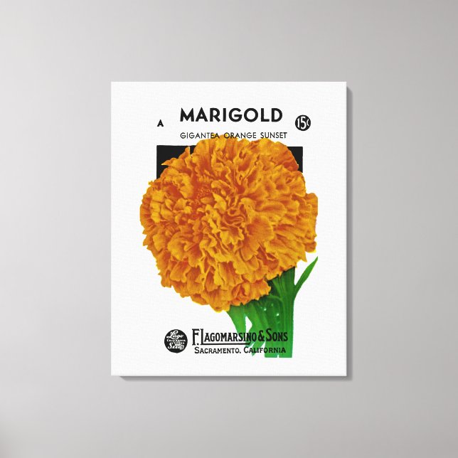 Toile Marigold Vintage Seed Packet (Recto)