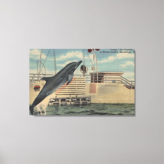 Toile Marineland, Floride - Vue de Pudgy le (Recto)