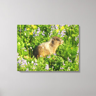 Toile Marmot dans le Mont Rainier Fleurs sauvages