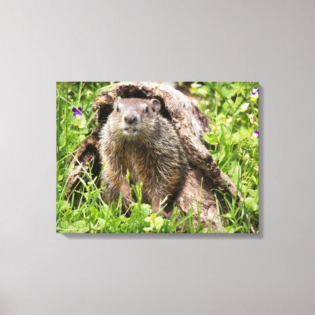 Toile Marmotte dans un tronc creux (Recto)