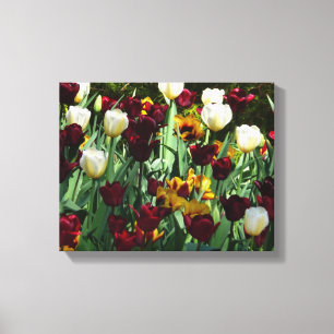 Toile Maroon et Tulipes Jaunes Florales colorées