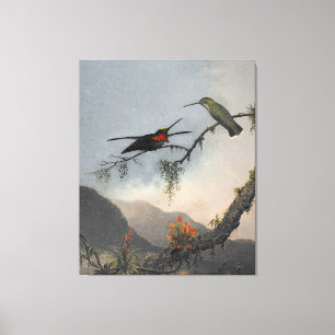 Toile MARTIN J. HEADE Starthroat à poitrine rayée (1864)