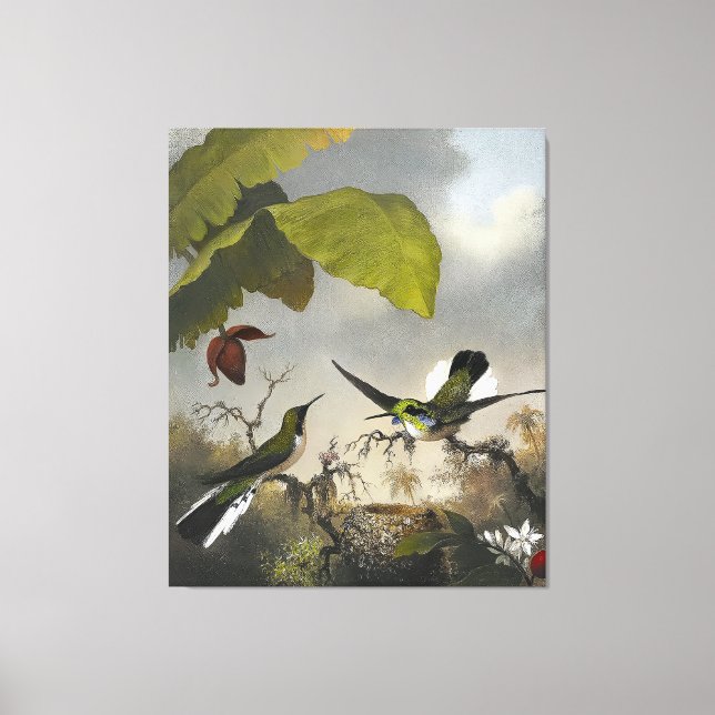 Toile MARTIN JOHNSON HEADE - Fée à oreilles noires - 186 (Recto)