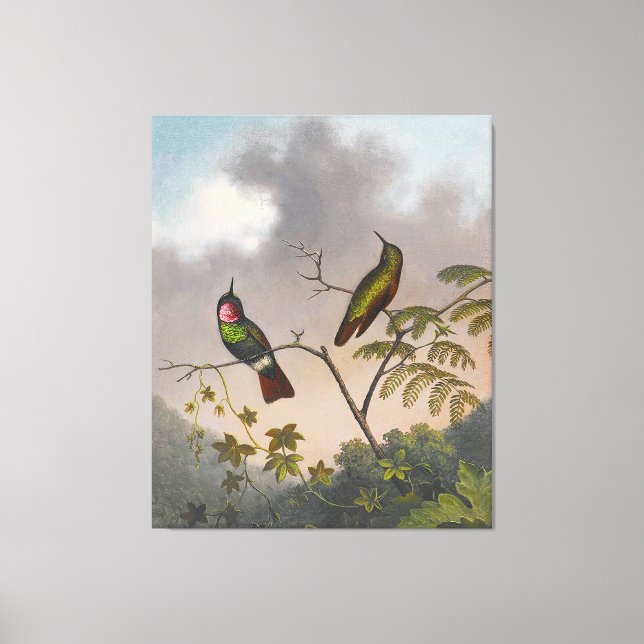 Toile MARTIN JOHNSON HEADE - Ruby brésilien - c. 1863-64 (Recto)