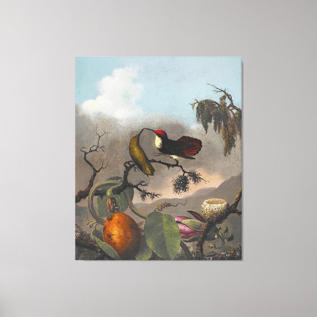 Toile MARTIN JOHNSON HEADE - Ruby-Topaz - c. 1863-1864- (Recto)