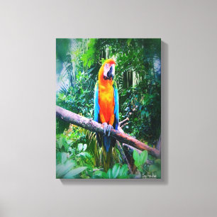 Toile Martinique Macaw