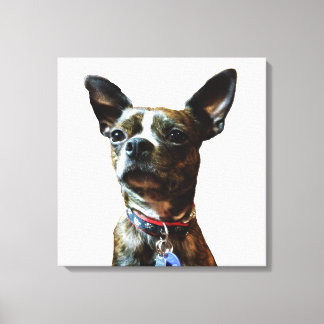 Toile Marv