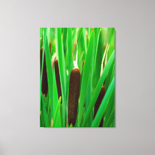 Toile Massettes à Cattail Marsh dans le Colorado