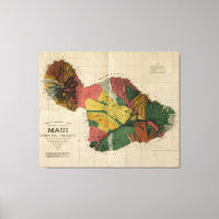 Maui, 1885, Carte Vintage de l'Antiquaire Hawaï