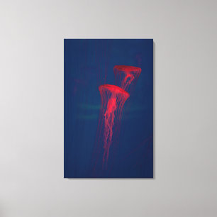 Toile Méduse rouge