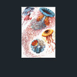 Toile Méduse vintage par Ernst Haeckel, Discomedusae<br><div class="desc">Illustration vintage de la biologie de la vie marine par Ernst Haeckel. Une variété d'animaux de méduses colorés nageant dans les eaux de la mer. Les méduses sont des animaux aquatiques nageant librement avec un corps en forme de parapluie et de longues tentacules traînantes. On peut les trouver dans tous...</div>