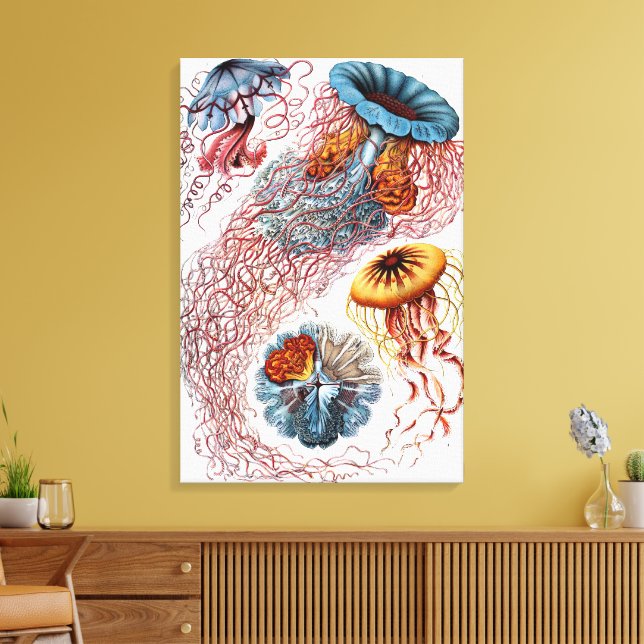 Toile Méduse vintage par Ernst Haeckel, Discomedusae (Insitu(Salon))
