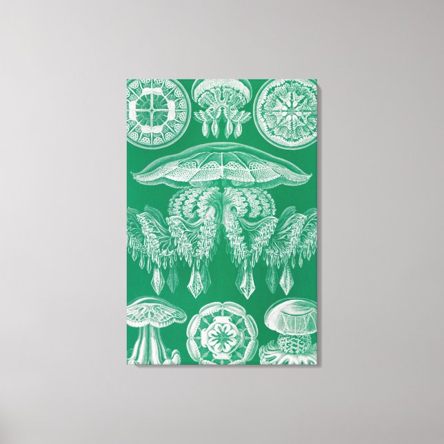 Toile Méduses, Discomedusae  par Ernst Haeckel (Recto)