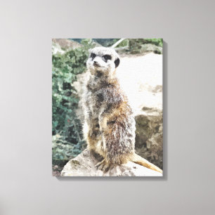 TOILE MEERKAT