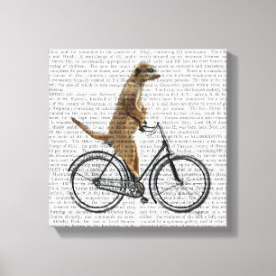 Toile Meerkat à vélo