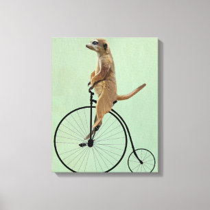 Toile Meerkat sur le quart de penny noir de penny