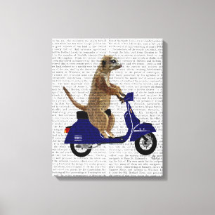 Toile Meerkat sur le vélomoteur bleu-foncé