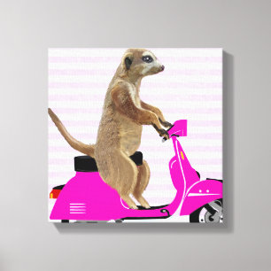 Toile Meerkat sur Pink Moped