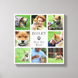 Toile Meilleur Animal De Compagnie Jamais ! Collage phot