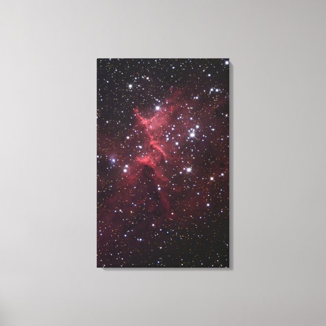 Toile Melotte-15, Cluster principal de IC1805 (Recto)