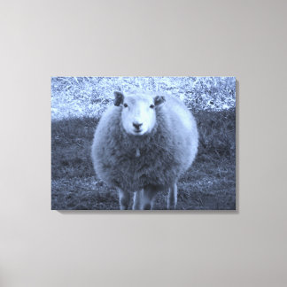 Toile Mère Bleue et Blanc mouton.