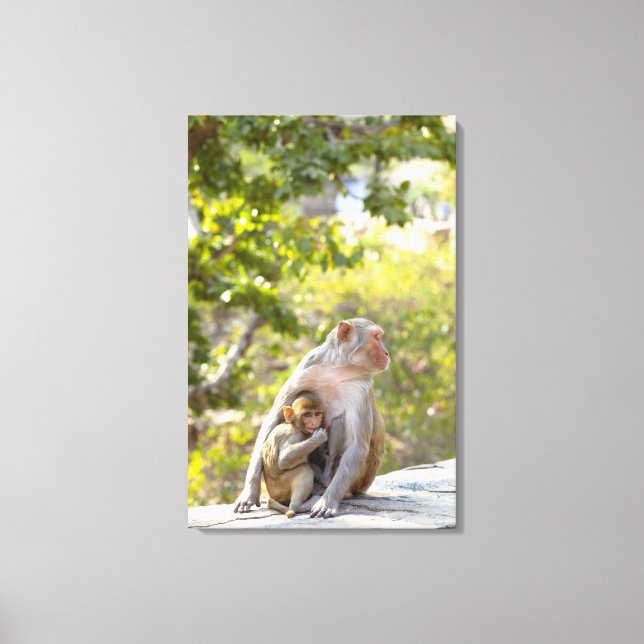 Toile Mère et bébé Rhesus Macaque singes sur le mur (Recto)