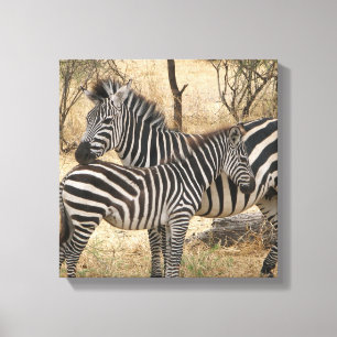Toile Mère et bébé Zebra Canvas Imprimer