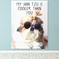 Mes lunettes de soleil photo de Shih Tzu est plus