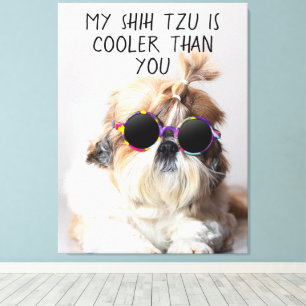 Toile Mes lunettes de soleil photo de Shih Tzu est plus